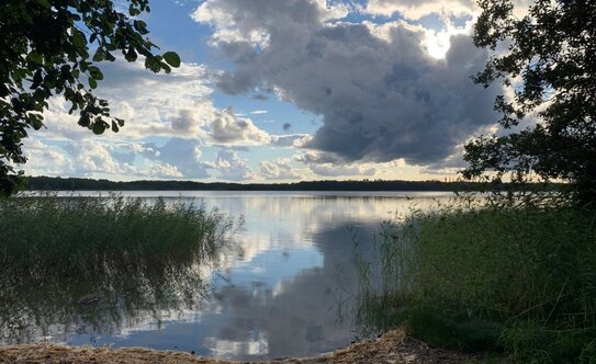 Коттеджные поселки в Ленинградской области - изображение 15
