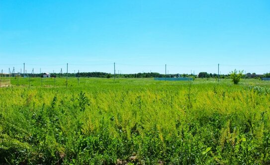 Коттеджные поселки в Московской области - изображение 7