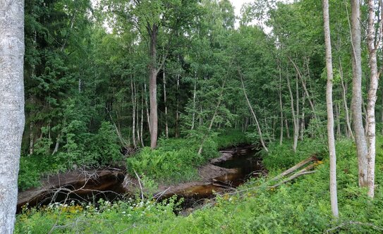 Коттеджные поселки в Ленинградской области - изображение 14