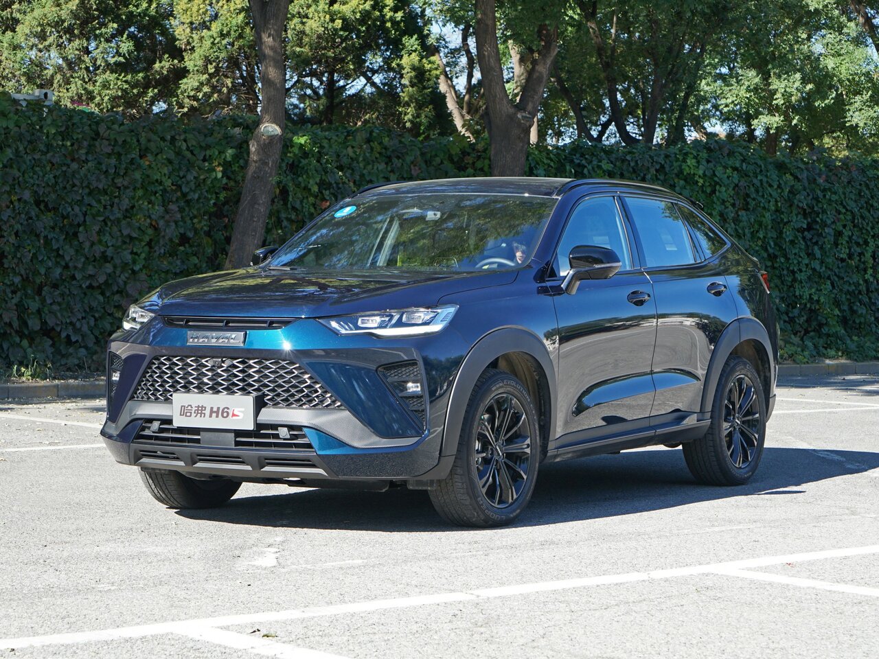 Haval H6S Основной вид