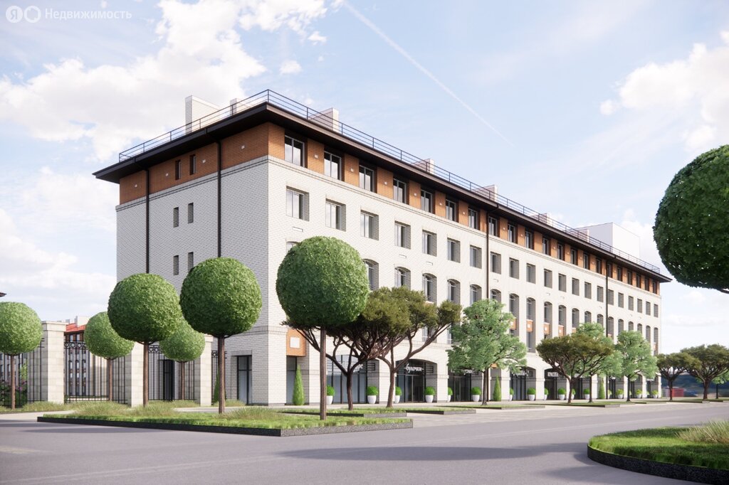 Олива - изображение 1