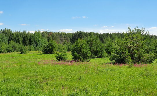 Коттеджные поселки в Казани - изображение 20