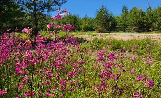 Коттеджные поселки в Казани - изображение 21