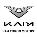 Сокол Моторс Kaiyi Ростов-на-Дону