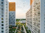 Мещерский лес - изображение 5