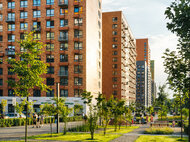 Мещерский лес - изображение 4