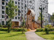 Мещерский лес - изображение 12