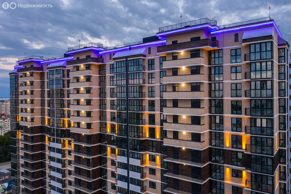 Стрижи - изображение 1