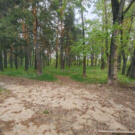 Ход строительства в ЖК SLAVA за Апрель — Июнь 2024 года, 1