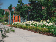 Посёлок-парк «Весна» - изображение 19