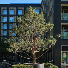 Квартира 259,7 м², 3-комнатные - изображение 4