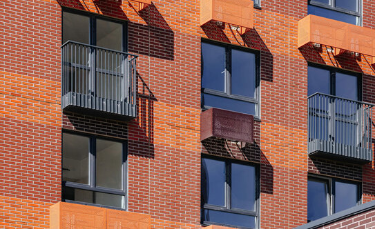 Первый Дубровский - изображение 2