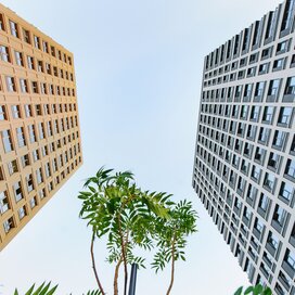 Купить 1-комнатную квартиру в кирпично-монолитном доме в ЖК «Городские сады» в Воронеже - изображение 4