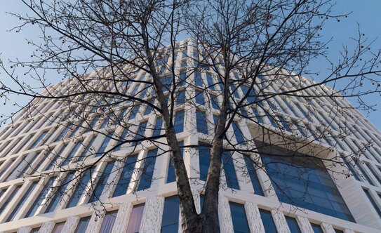 268 м², 5-комнатная квартира 21 300 000 ₽ - изображение 62