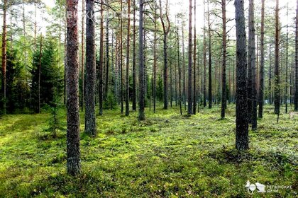 Коттеджные поселки в Выборгском районе - изображение 33