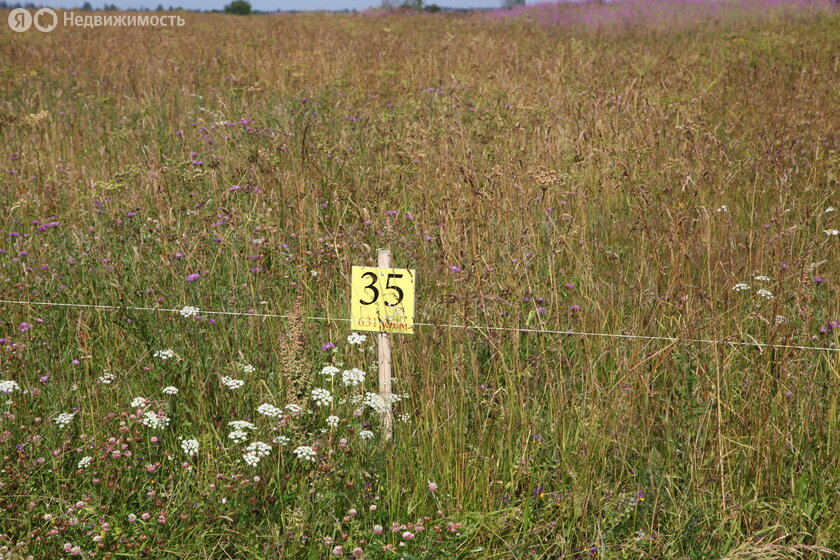 Посёлок «Путиловские просторы», Кировский район - изображение 8