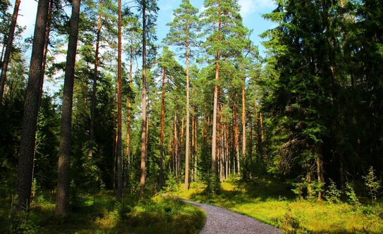 Коттеджные поселки в Московской области - изображение 29