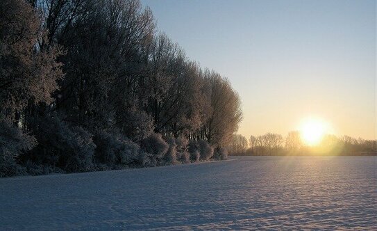 Коттеджные поселки в Воскресенске - изображение 4