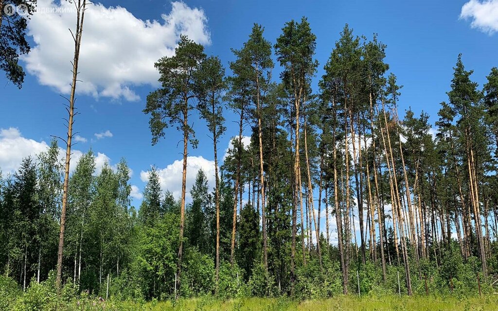 Посёлок «Копнино», Раменский округ - изображение 1