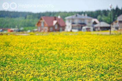 Коттеджные поселки в Москве - изображение 23