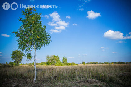 Коттеджные поселки в Городском округе Истра - изображение 35