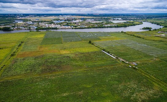 Коттеджные поселки в Московской области - изображение 3