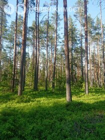 Коттеджные поселки в Выборгском районе - изображение 10