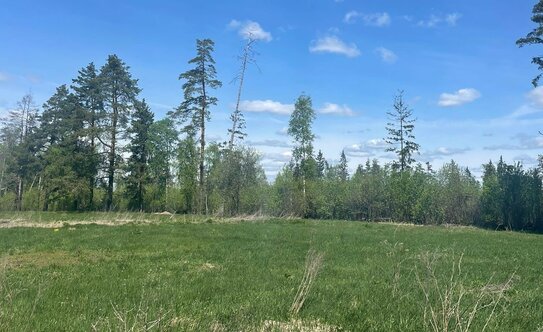 Коттеджные поселки во Фрязино - изображение 11