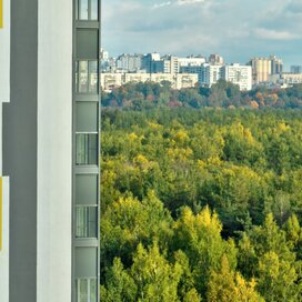 Купить однокомнатную квартиру в панельном доме в ЖК «Заповедный парк» в Санкт-Петербурге и ЛО - изображение 3