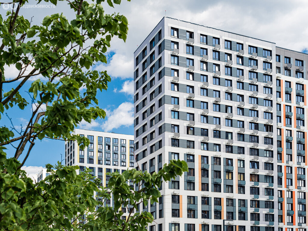 Новый Зеленоград - изображение 1