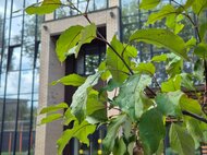 ЖК «ПРАЙМ» - изображение 7