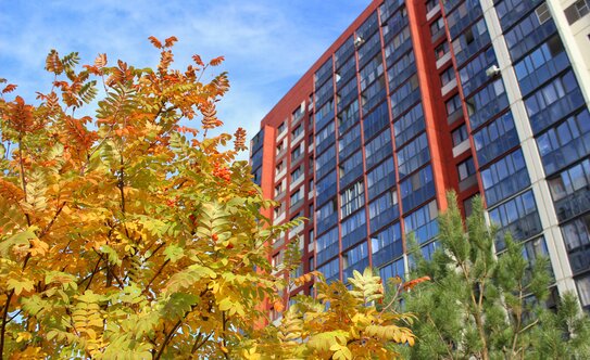 жилой район «Околица» - изображение 4