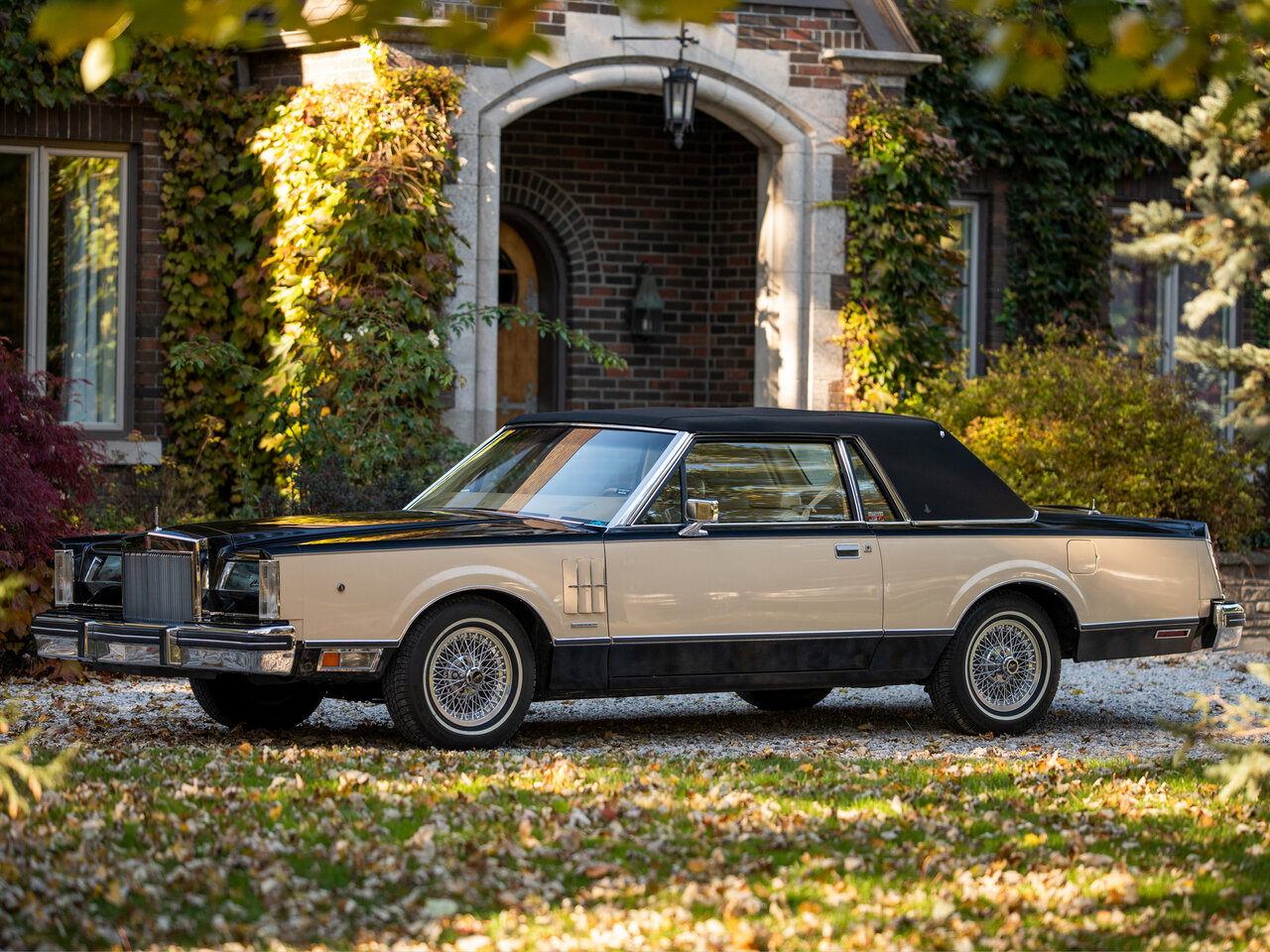 Lincoln Continental Mark Основной вид