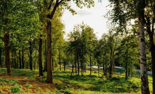 Коттеджные поселки в Московской области - изображение 4