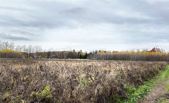 Коттеджные поселки в Московской области - изображение 1