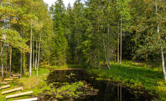 Коттеджные поселки в Выборгском районе - изображение 3