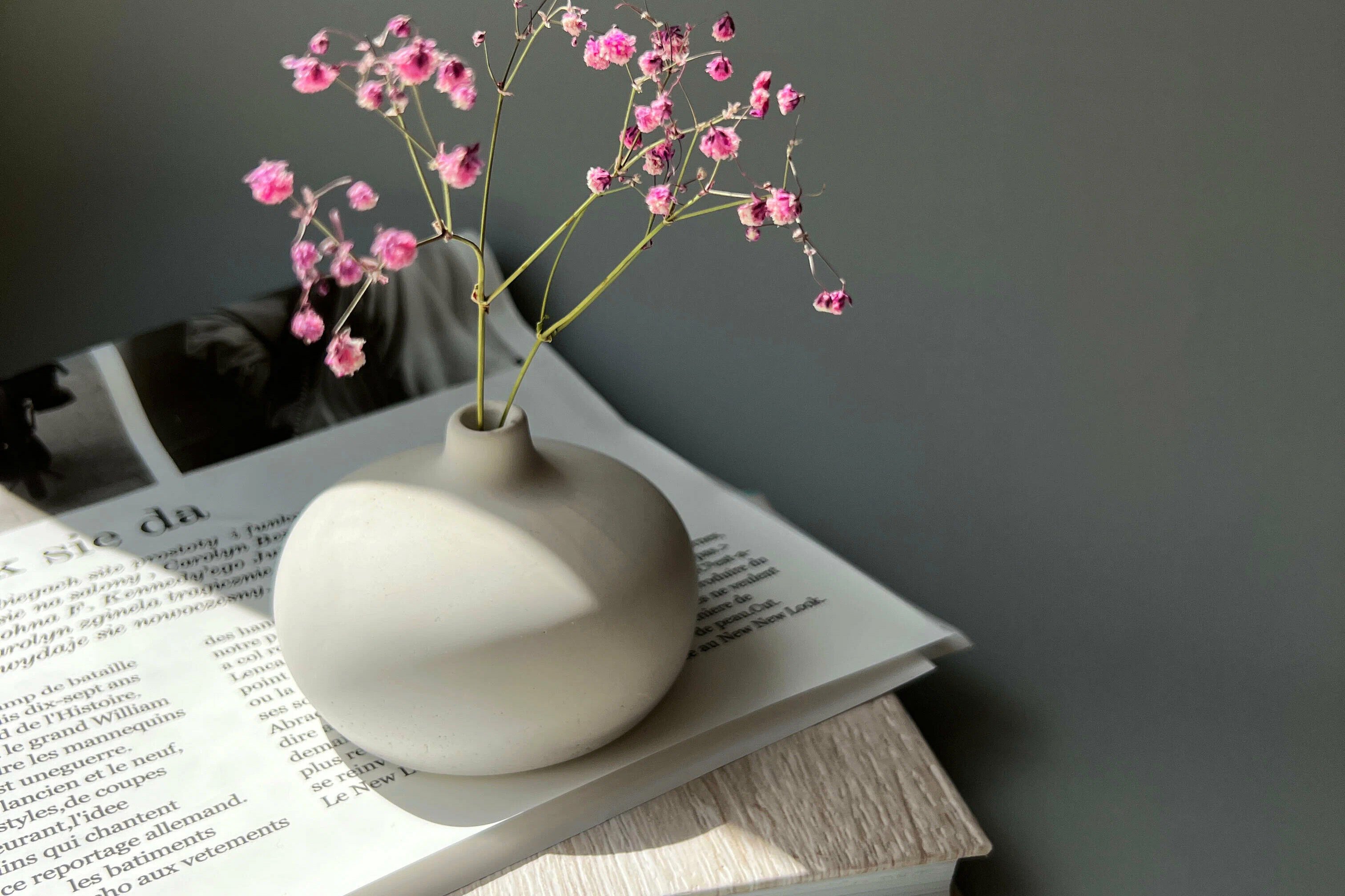Вечные цветы: 5 эстетичных ваз для сухоцветов