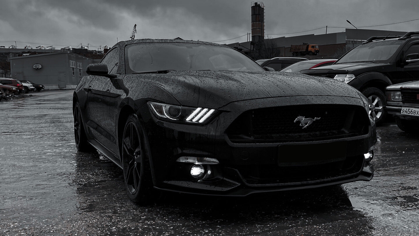     Ford Mustang     -        