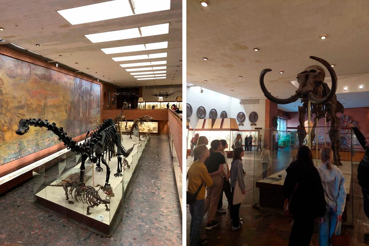 В Палеонтологический музей часто приходят школьники и студенты в рамках изучения биологии и географии.
