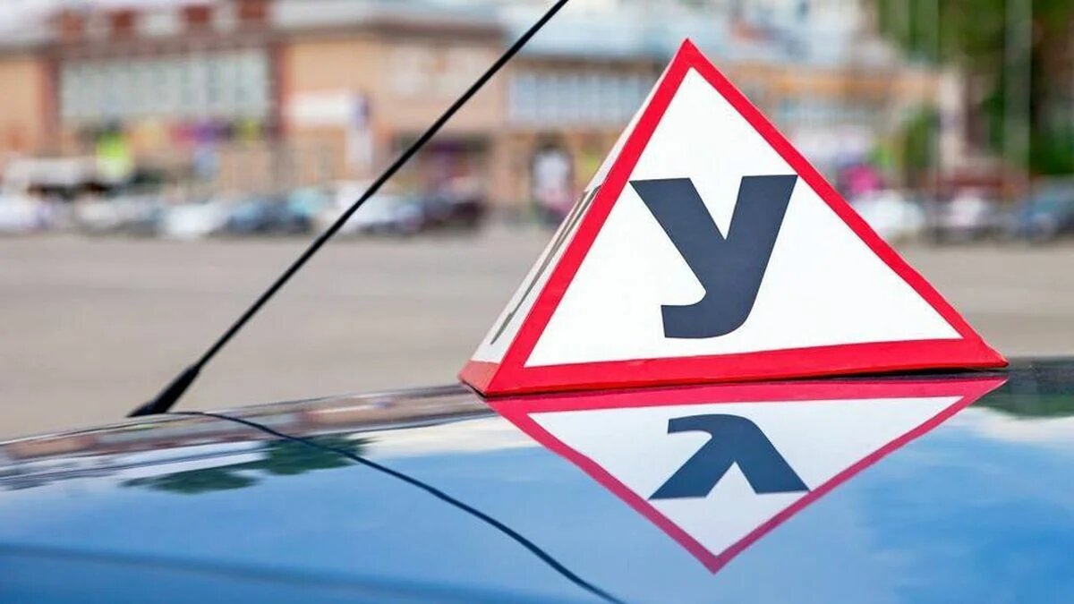 Должны уметь не только ездить: в автошколах хотят ввести новые дисциплины