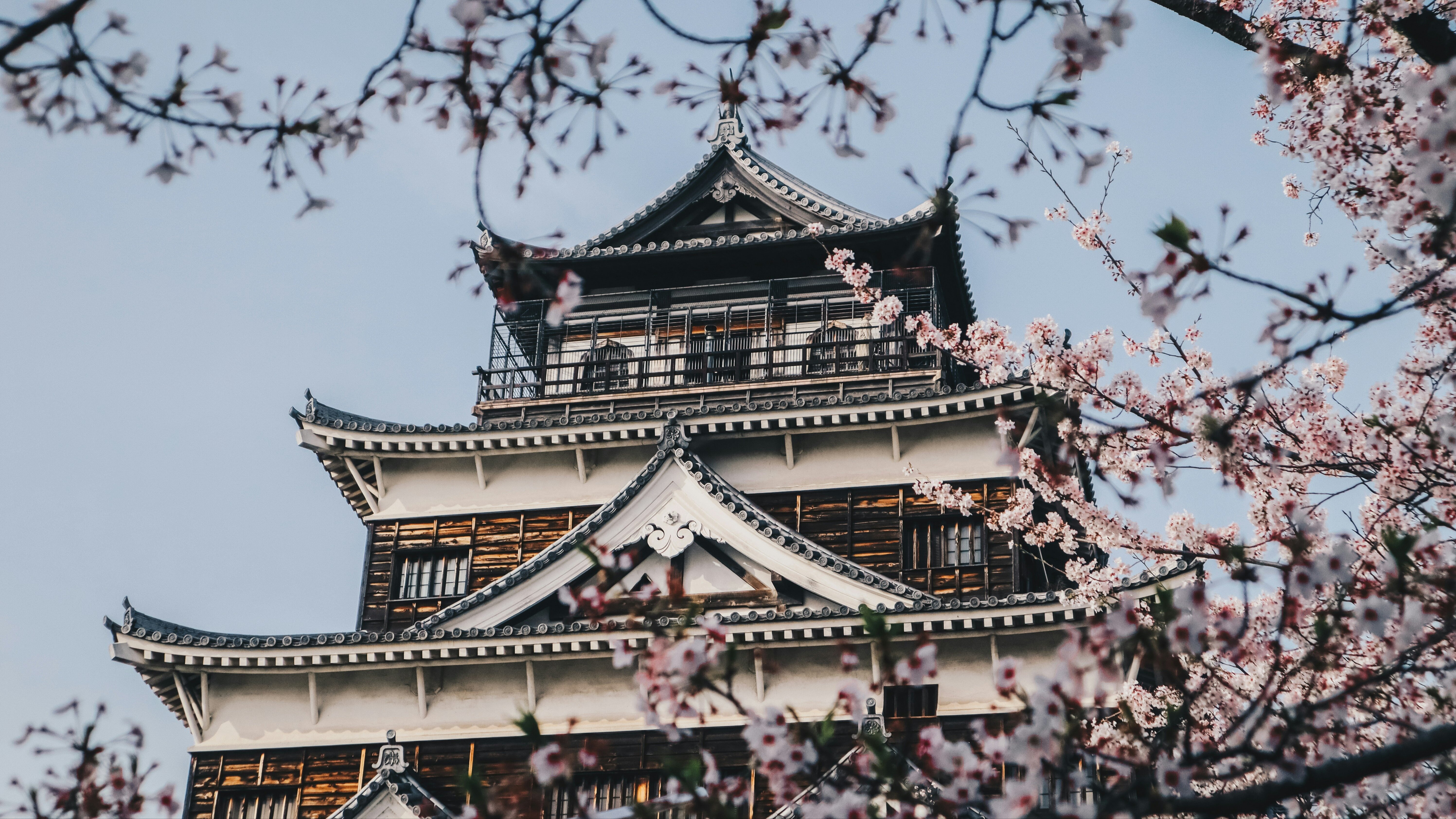 Когда лучше ехать в Японию: цветение сакуры, сезон красных клёнов и Новый год