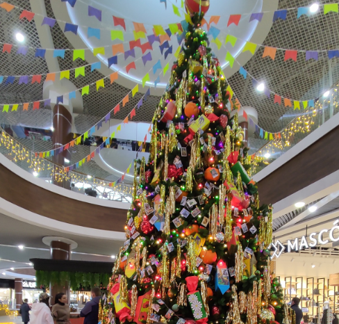 Охота за снегом: зимнее путешествие в Алушту