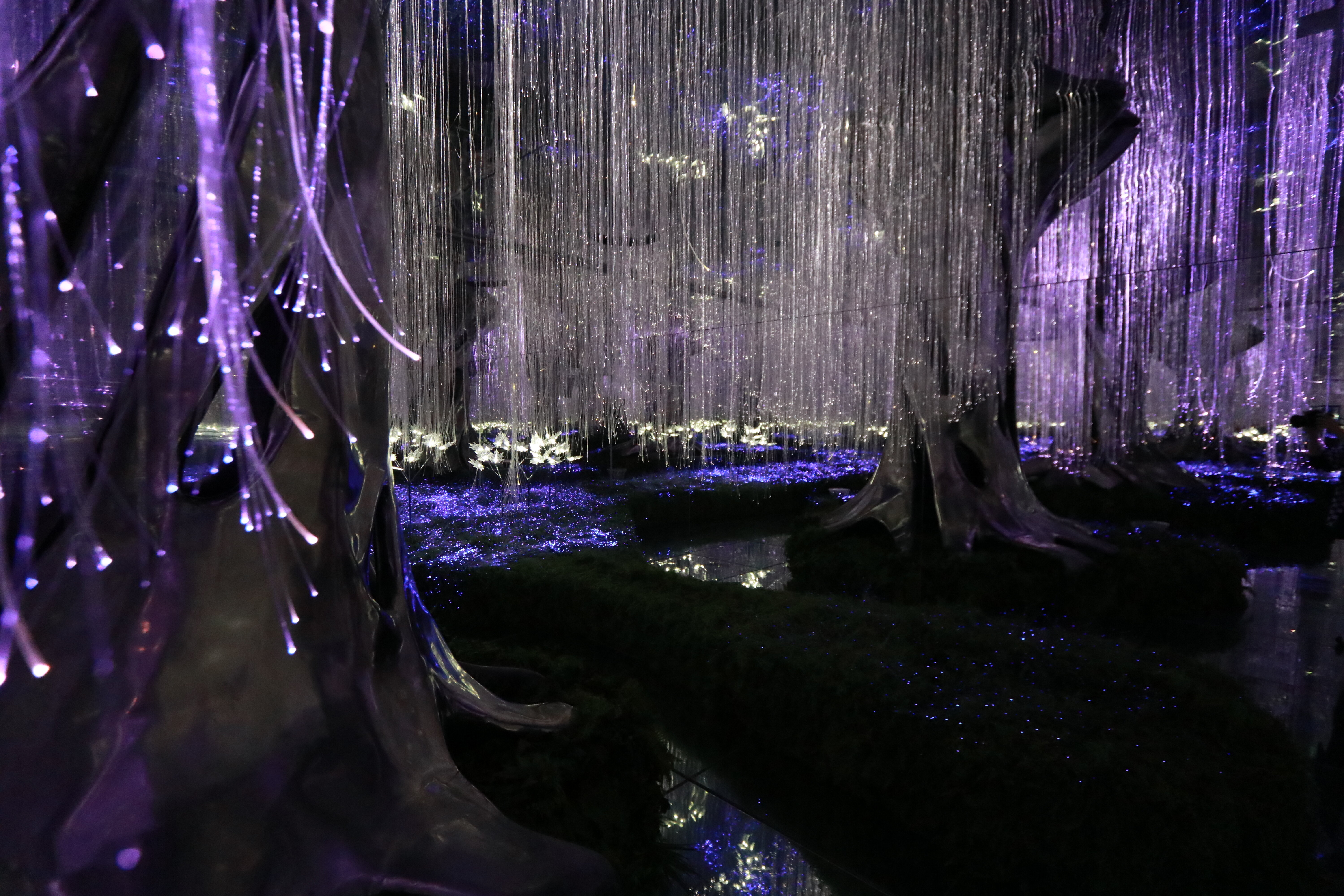 Зеркальные миры
