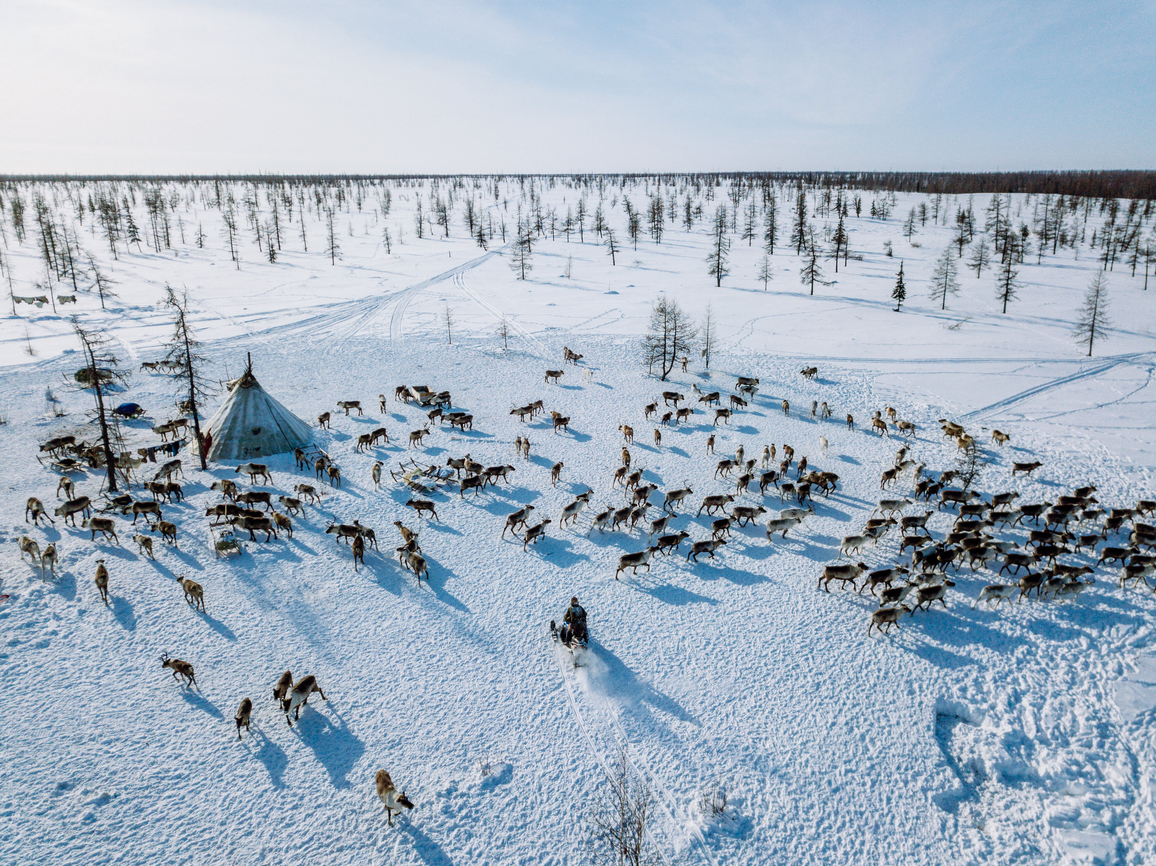 Из Ярославля запустят прямые рейсы в Нарьян-Мар