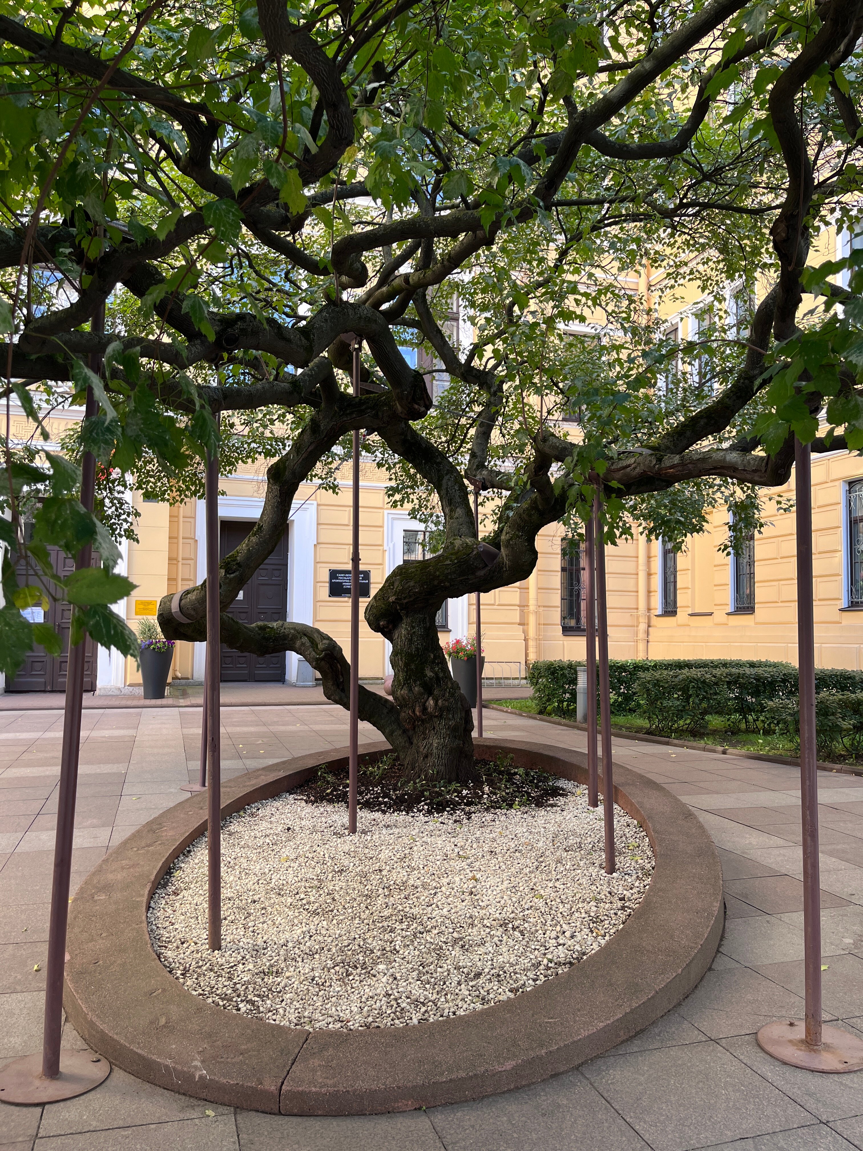 Если идти пешком от м.