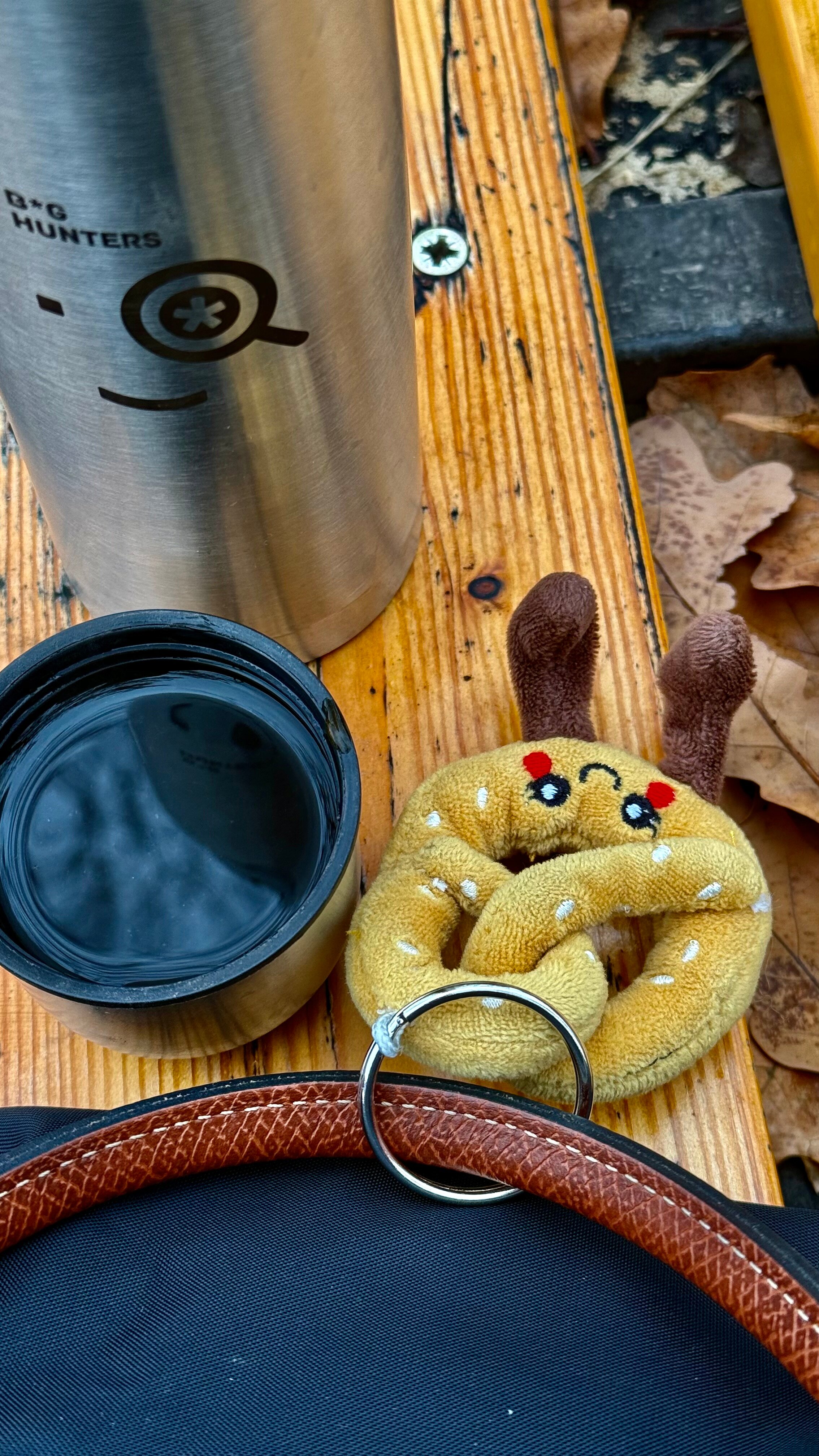 Воспоминания о страсбургском времени со мной на родине



