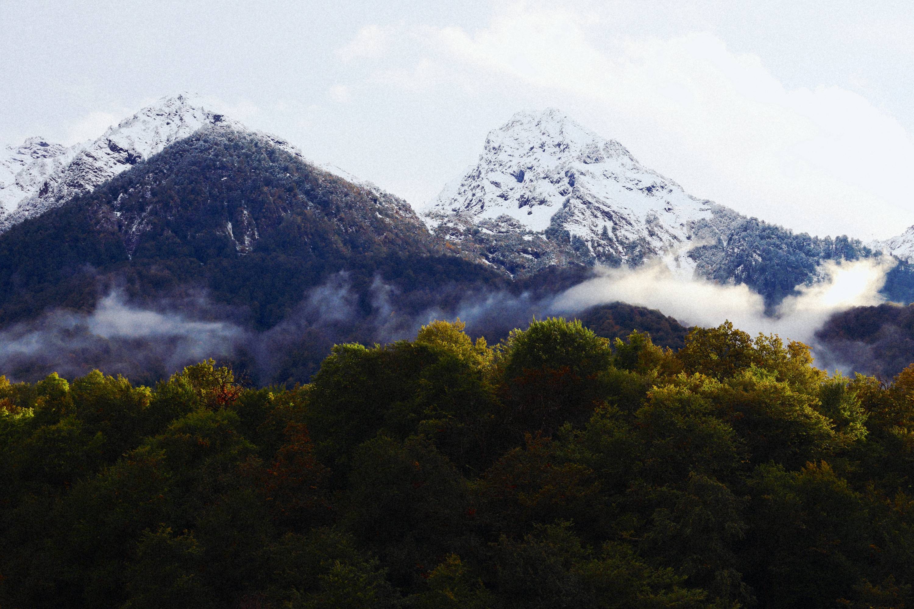 Свадебное путешествие в горах Роза Хутор: наша история любви