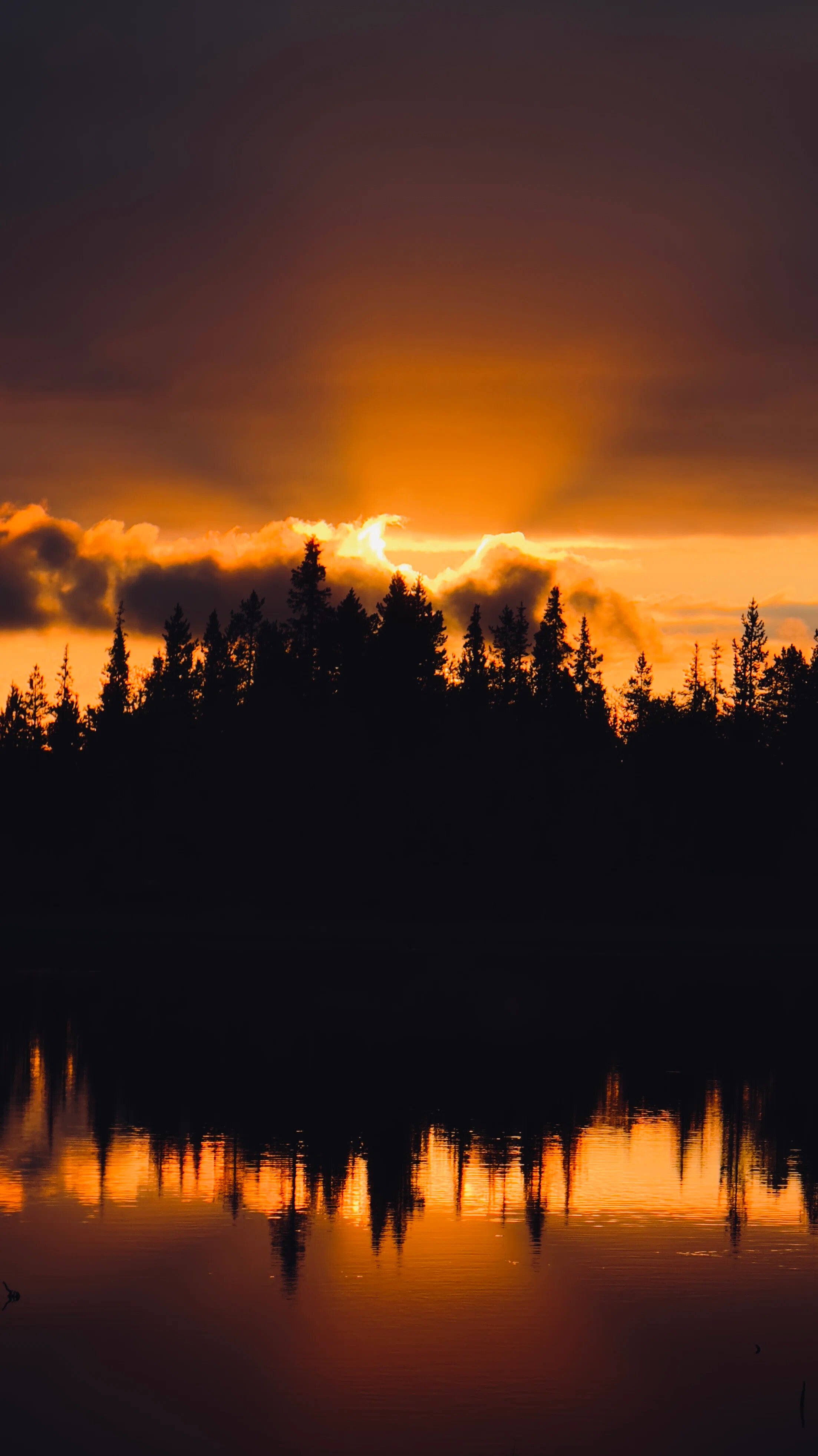 Зачем ехать в Кировск: Хибины, арктическая кухня и северное сияние