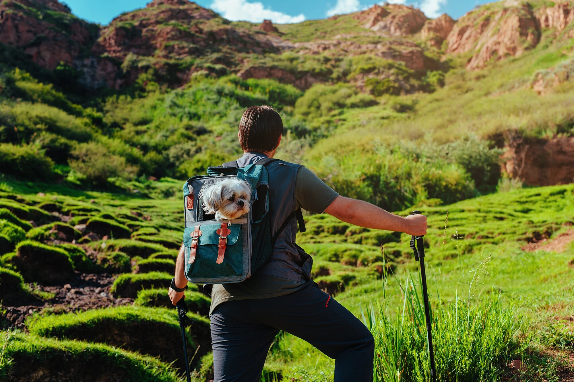 Путешествия с питомцами и другие мировые тревел-тренды 2026 года представили Amadeus
