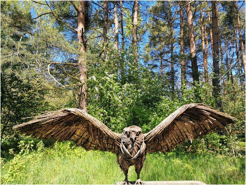 На маршруте путешественников «сопровождают» арт-объекты,
которые вписываются в природный ландшафт.